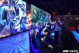 引发众怒，电讯报：摩洛哥为承办国际赛事大规模捕杀流浪狗