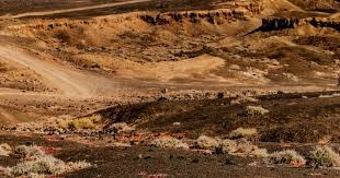 维尔茨数据：4次射门制造对方1次乌龙球，送3次关键传球